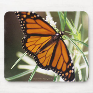 Monarch Butterfly Mousepad