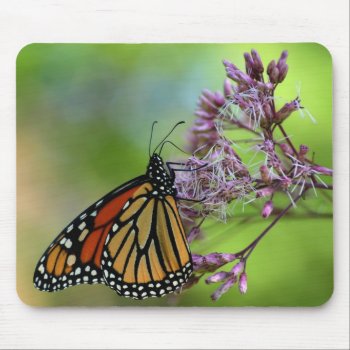Monarch Butterfly Mousepad - Against Green by LoisBryan at Zazzle