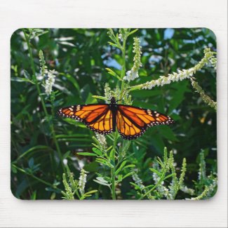 Monarch Butterfly Natural Mousepad