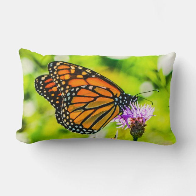 Monarch Butterfly Nature  Lumbar Pillow (Front)