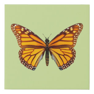 Monarch Butterfly Nature Wall Art