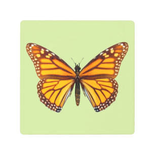 Monarch Butterfly Nature Wall Art