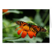Monarch Butterfly Note Card (Front Horizontal)