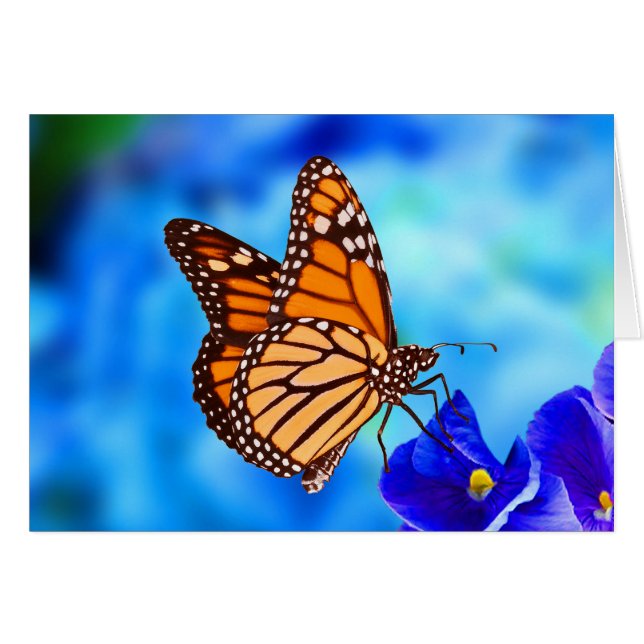 Monarch Butterfly note card (Front Horizontal)