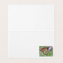 Monarch Butterfly Note Cards