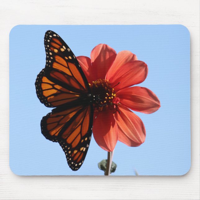 Monarch Butterfly on a Dahlia Mouse Pad (Front)