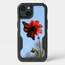 Monarch Butterfly on a Dahlia