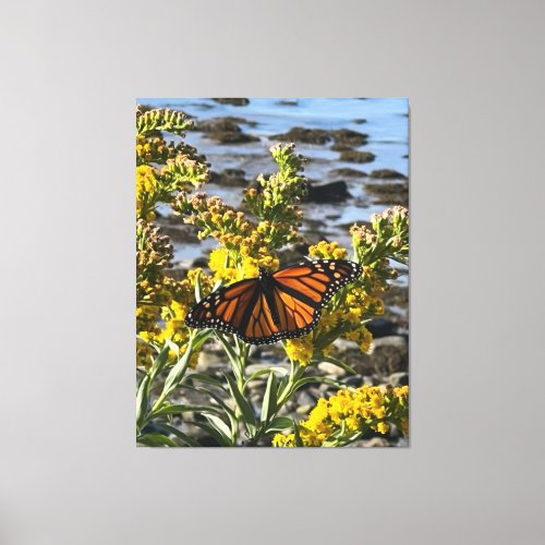 Monarch Butterfly on a Flower by the Water Nature Canvas Print