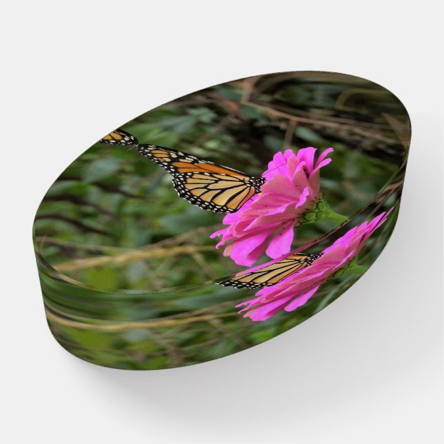 Monarch Butterfly on a Pretty Pink Zinnia Flower Paperweight (Angled)