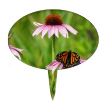 Monarch butterfly on a purple coneflower