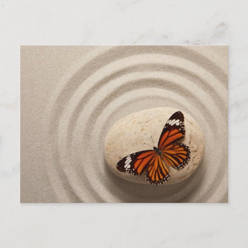 Monarch Butterfly on a Stone in a Zen Garden Postcard