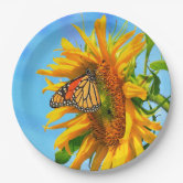 Monarch Butterfly on Paper Plates