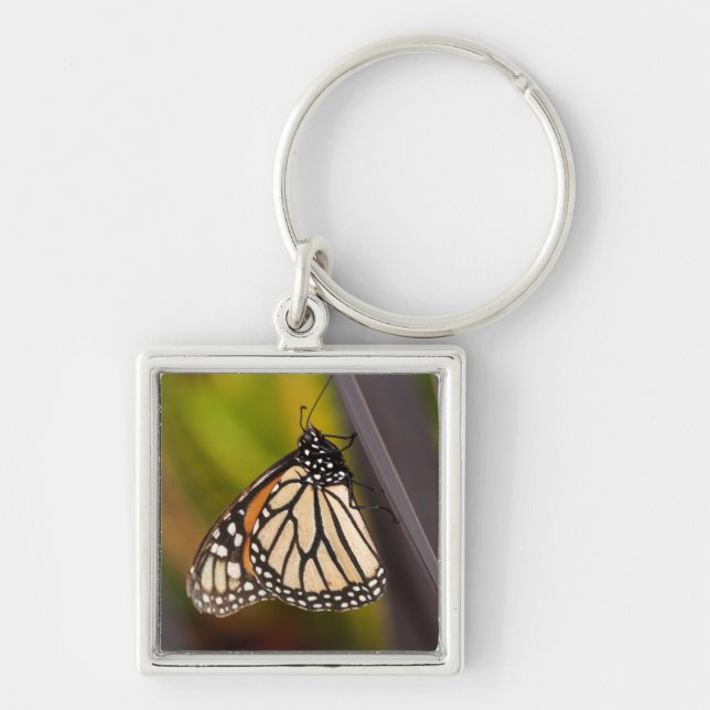 Monarch Butterfly on Agave Keychain (Front)