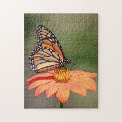 Monarch Butterfly on an orange flower Jigsaw Puzzle