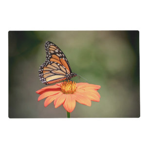 Monarch Butterfly on an orange flower Placemat
