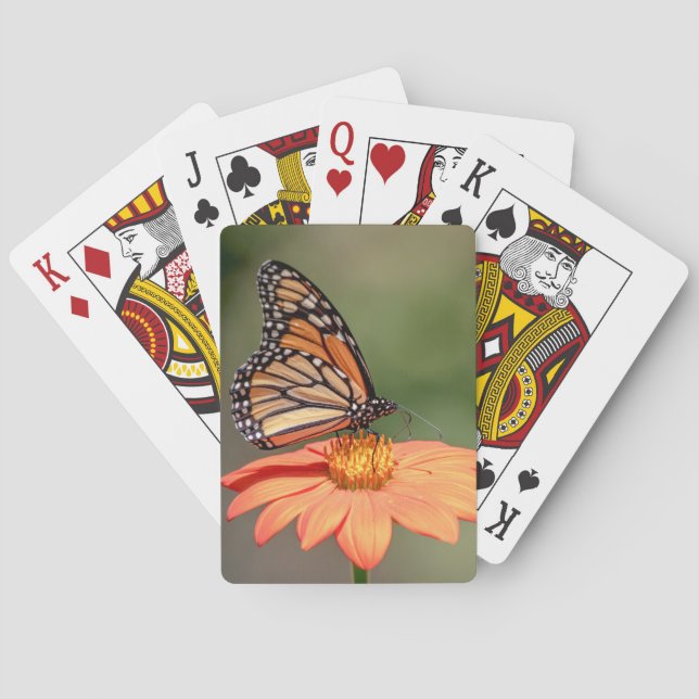 Monarch Butterfly on an orange flower Poker Cards (Back)