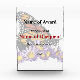 Monarch Butterfly on Asters Award