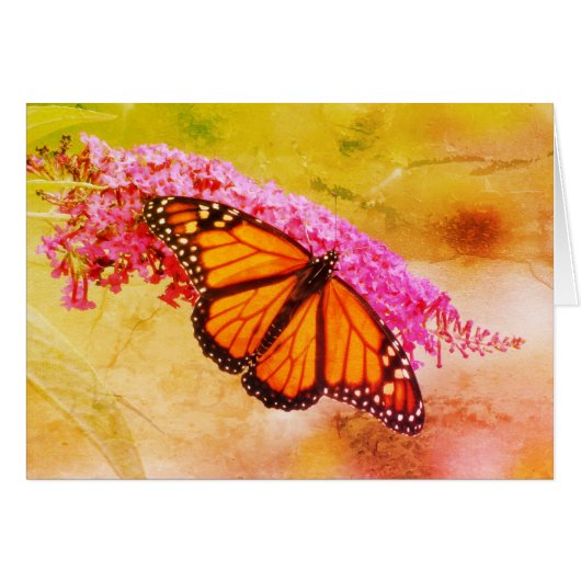 Monarch Butterfly on Buddleia Cards (Front Horizontal)