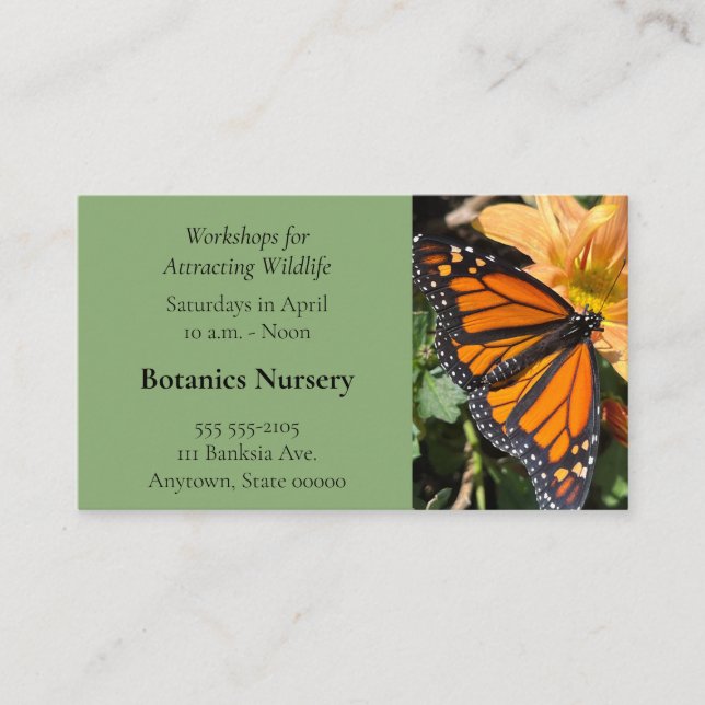 Monarch butterfly on chrysanthemum flower business card (Front)