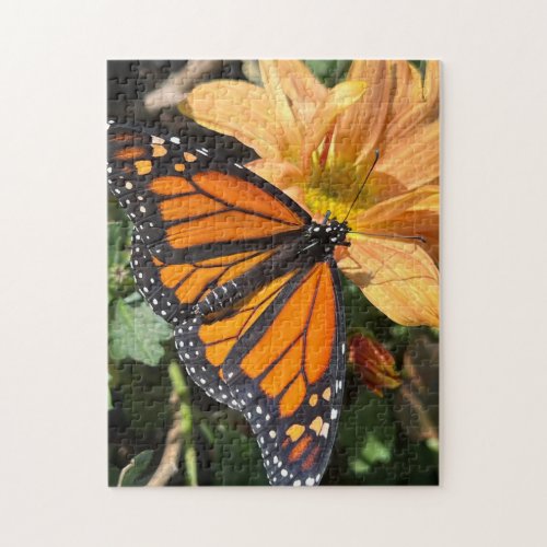 Monarch butterfly on chrysanthemum jigsaw puzzle