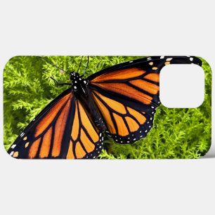 Monarch butterfly on cypress iPhone 13 pro max case