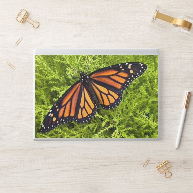 Monarch butterfly on cypress HP laptop skin (Desk)