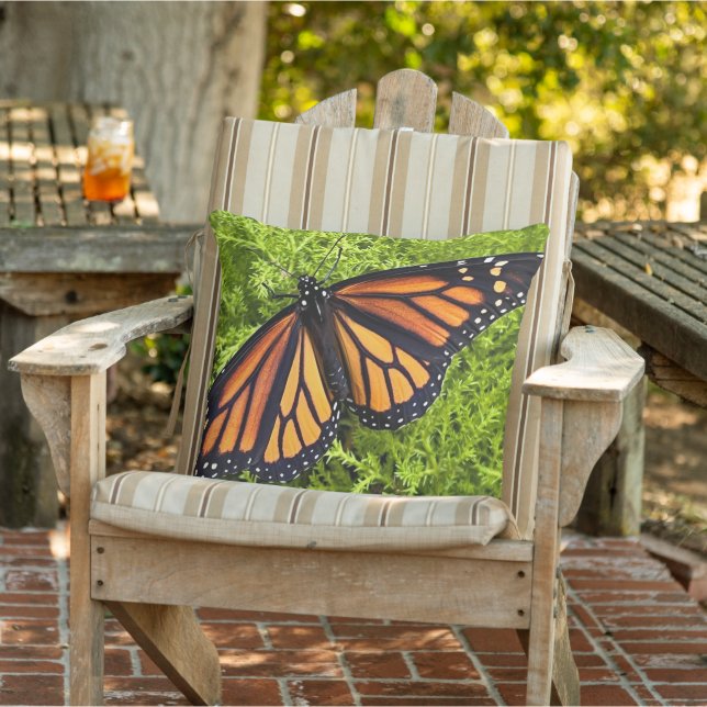 Monarch butterfly on cypress outdoor pillow (Chair)