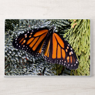 Monarch butterfly on evergreens HP laptop skin