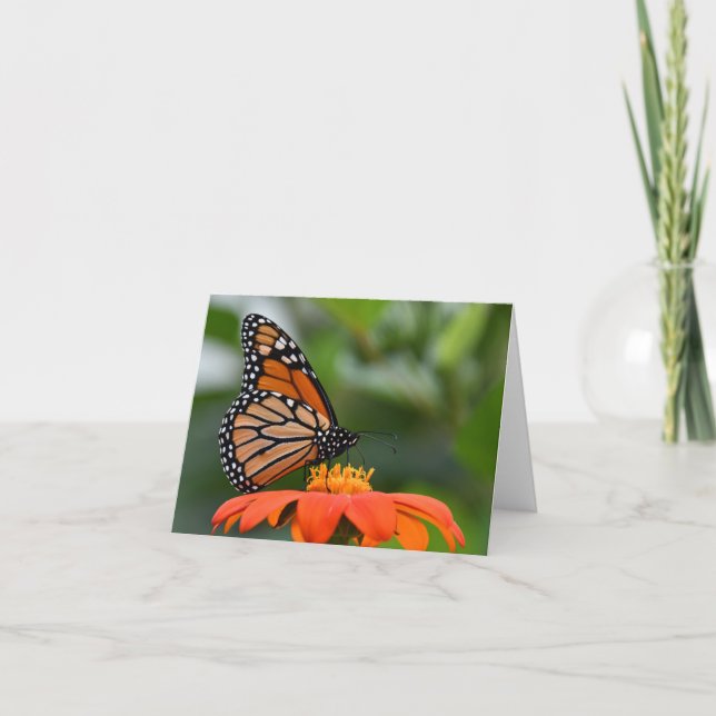 Monarch Butterfly on Flower Card (Front)