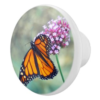  MONARCH BUTTERFLY ON FLOWER