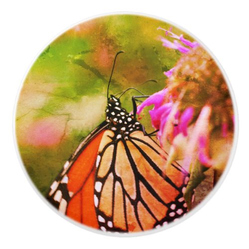 Monarch Butterfly On Flower Close Up Abstract  Ceramic Knob