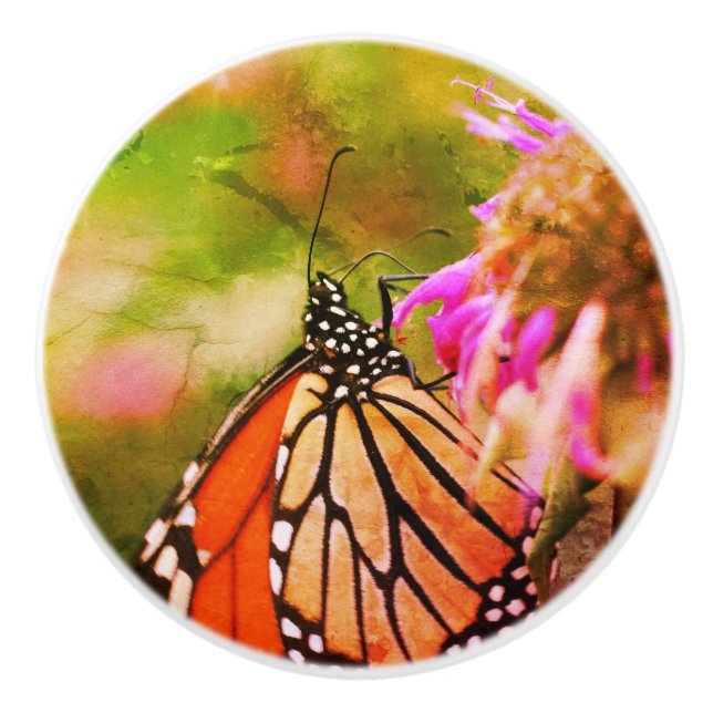 Monarch Butterfly On Flower Close Up Abstract  Ceramic Knob (Front)