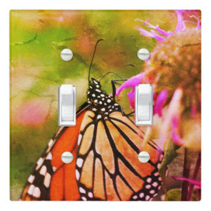 Monarch Butterfly On Flower Close Up Abstract    Light Switch Cover