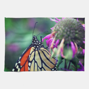 Monarch Butterfly On Flower Close Up   Kitchen Towel