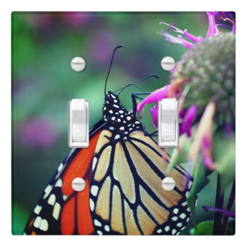 Monarch Butterfly On Flower Close Up     Light Switch Cover