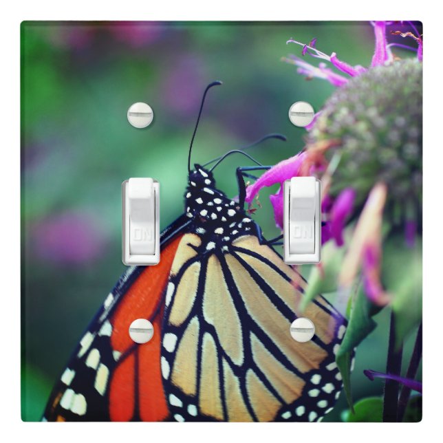 Monarch Butterfly On Flower Close Up     Light Switch Cover (In Situ)