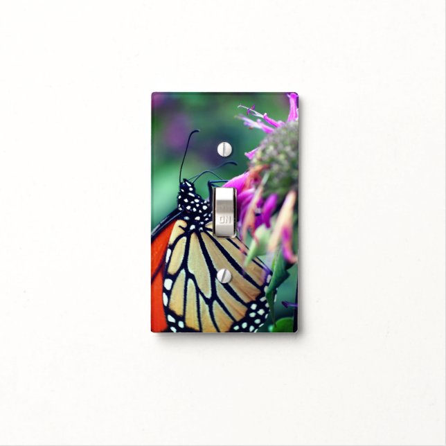 Monarch Butterfly On Flower Close Up    Light Switch Cover (In Situ)