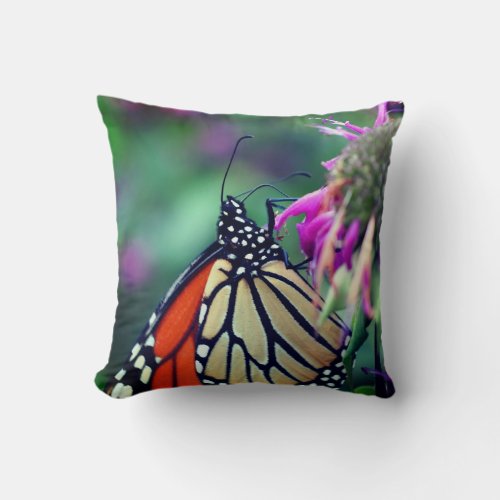 Monarch Butterfly On Flower Close Up  Throw Pillow