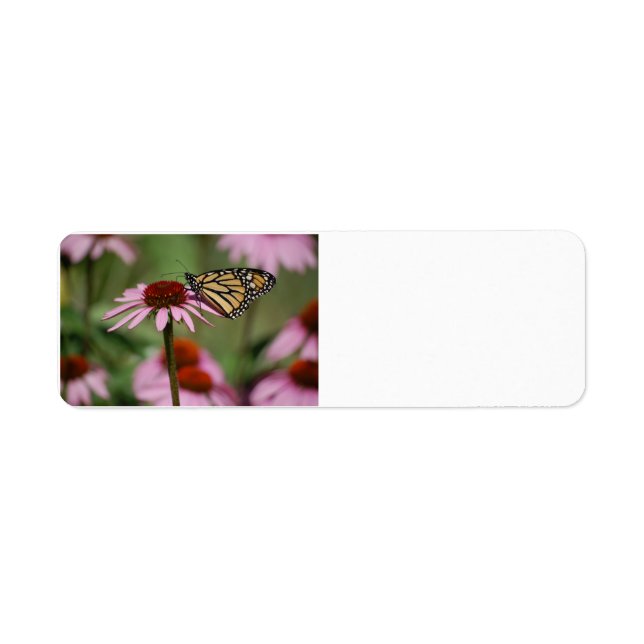 Monarch Butterfly on Flower Label (Front)