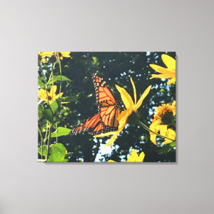 Monarch Butterfly on Flower Photograph Canvas Print