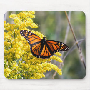 Monarch Butterfly on Goldenrod Mousepad