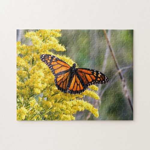 Monarch Butterfly on Goldenrod Puzzle