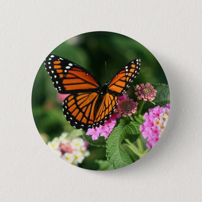 Monarch Butterfly on Lantana Flower Button (Front)