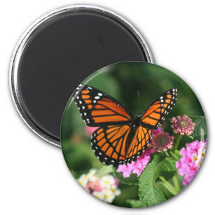 Monarch Butterfly on Lantana Flower Magnet