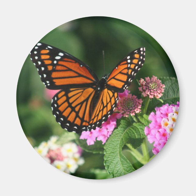 Monarch Butterfly on Lantana Flower Magnet (Front)