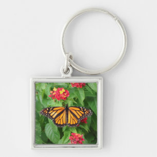 Monarch Butterfly on Lantana  Keychain