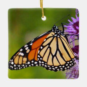 Monarch Butterfly on Liatris Ceramic Ornament