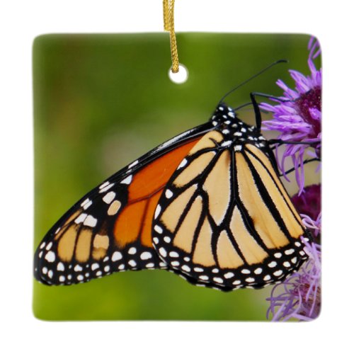 Monarch Butterfly on Liatris Ceramic Ornament