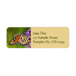 Monarch Butterfly on Liatris Label