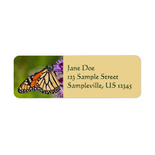 Monarch Butterfly on Liatris Label